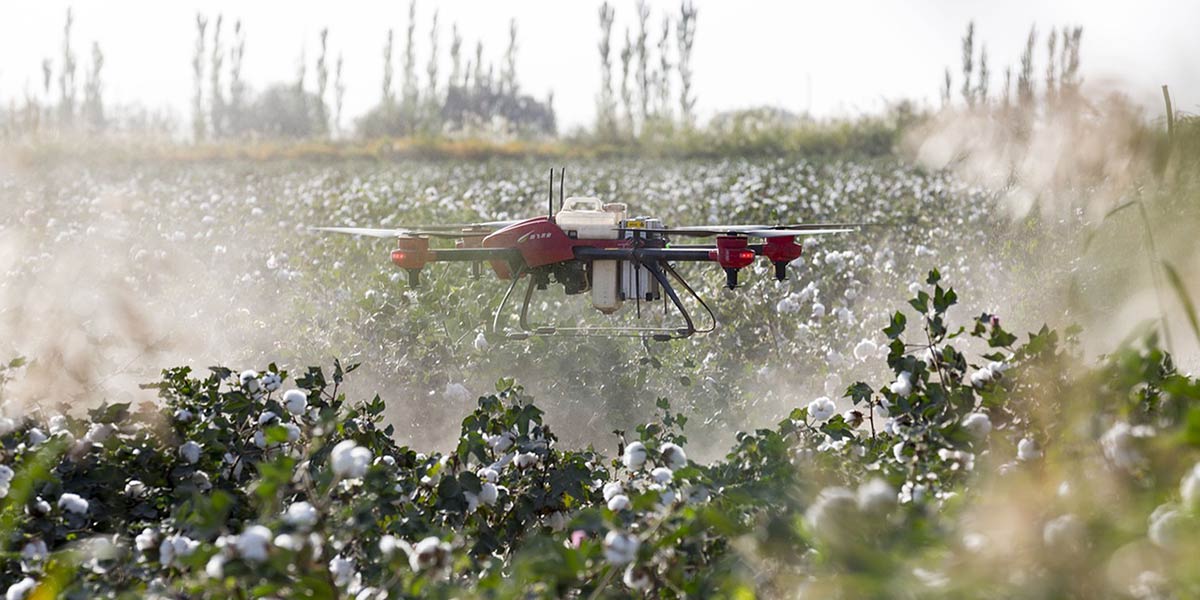 L’intelligenza artificiale entra in 'campo'
